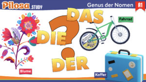 PILOSA.STUDY A1 Deutsch Grammatik Genus der Nomen 1