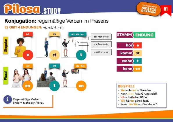 PILOSA.STUDY A1 German flashcard conjugation of regular verbs