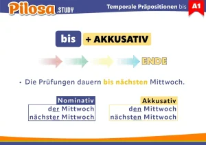 PILOSA.STUDY A1 ドイツ語フラッシュカード 時制前置詞