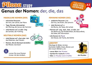 PILOSA.STUDY Lernkarte: Genus der Nomen