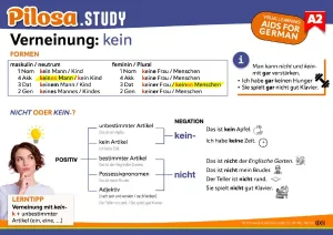PILOSA.STUDY Lernkarte A2 Verneinung: kein oder nicht