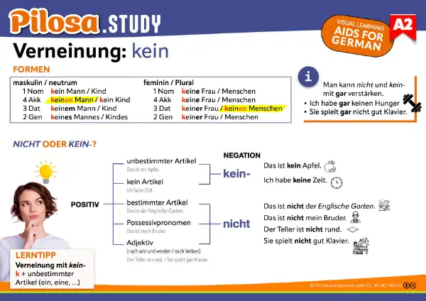 PILOSA.STUDY Lernkarte A2 Verneinung: kein oder nicht