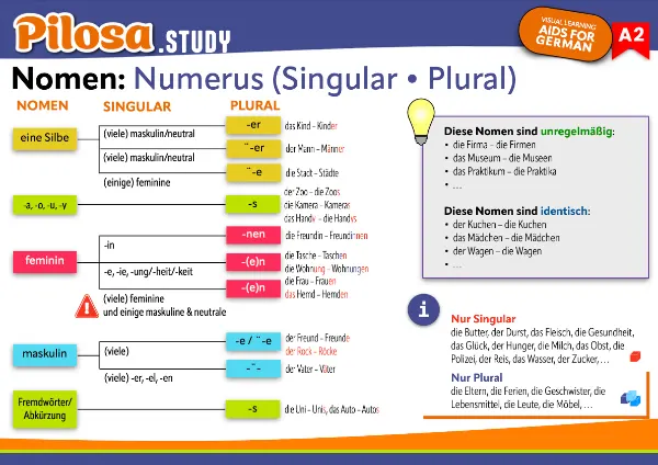 PILOSA.STUDY Flashcard: A2 Noun - Number Rules