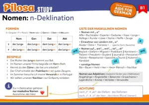 PILOSA.STUDY Lernkarte B1 Grammatik: Die n-Deklination